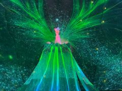 -重庆国际马戏城