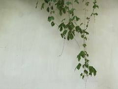 -杭州黄龙洞