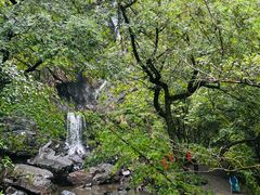 -石台牯牛降景区