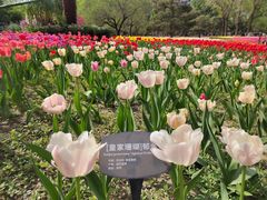 -国家植物园