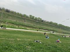 -洨河生态公园