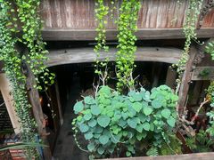 -普洱茶府(博乐广场店)