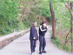-紫金山山顶公园