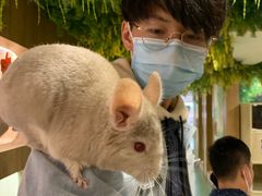 -藦茜花园宠物主题亲子互动体验馆(国顺东路店)