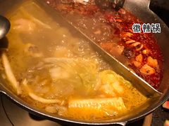 花胶鸡汤锅底-湊湊火锅·茶憩(新中关购物中心店)