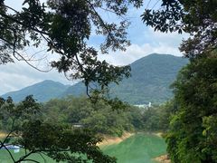 -广州市流溪河国家森林公园