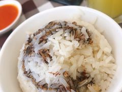 -文东记(马里士他路)