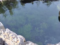 -教师之家赵家羊汤馆(东青龙街店)