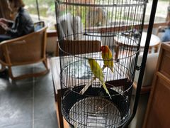 -广富林宰相府酒店·水云间