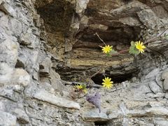 -青州市云门山风景区