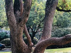 -浙江大学(玉泉校区)