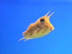 -石家庄极地海洋世界