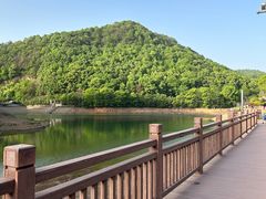 -桃花岭景区