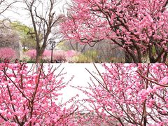 -北京明城墙遗址公园