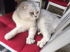 -MIKAKU(万达广场上海宝山店)