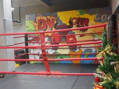 -大焱搏击·泰拳·拳击俱乐部(大柏树店)