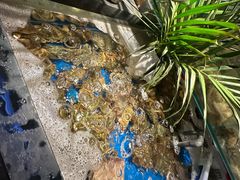 -亚马逊蒸汽活海鲜自助(LCM置汇旭辉广场店)