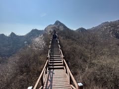 -大岭沟猕猴桃谷风景区