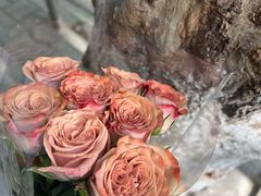 -循礼门鲜花花市(武汉循礼门店)