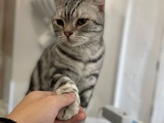 -共舞时光猫咖·狗咖(新街口店)