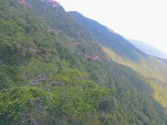 -亚龙湾热带天堂森林公园