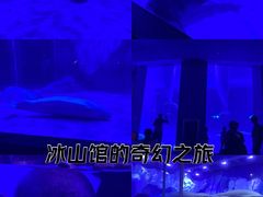 -上海海昌海洋公园-冰山北极馆