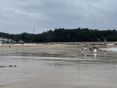-坛南湾阿强农家乐.海鲜大排档老字号(福州地标美食店)