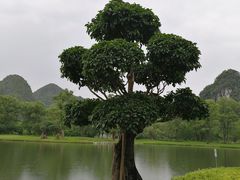 -Club Med地中海俱乐部·桂林度假村