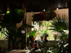 -自由生长植物工作室(深港花卉中心店)
