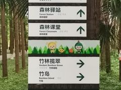 -盐城丹顶鹤湿地生态旅游区