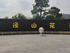 -径山花海