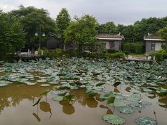-林丰温泉度假山庄