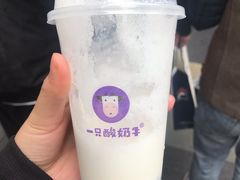 -一只酸奶牛(八一路店)
