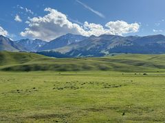 -新疆那拉提国家旅游度假区