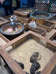 -酷嗒动物文化乐园(cutezoo西溪乐天城店)