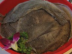 -二荆条·蜀鲜汇城市森林火锅