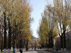 -哈尔滨文化公园