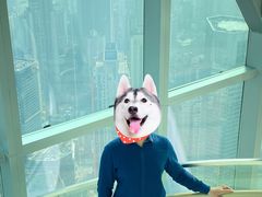 -WFC会仙楼观景台