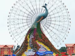 -七彩云南欢乐世界