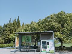 -宜兴龙背山森林公园