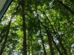 -桤木河湿地公园