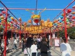 -祥源·阜阳生态乐园