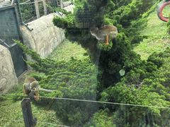 -大连森林动物园