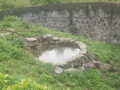 -都江堰中华大熊猫苑