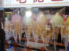-中华郡文化旅游景区