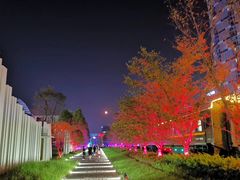 -新天地活力PARK