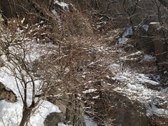 -崂山巨峰游览区