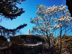 -潭柘寺景区