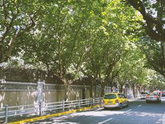 -Dal Cuore 达可芮冰淇淋(陕西北路店)