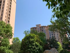 -上海浦东星河湾酒店